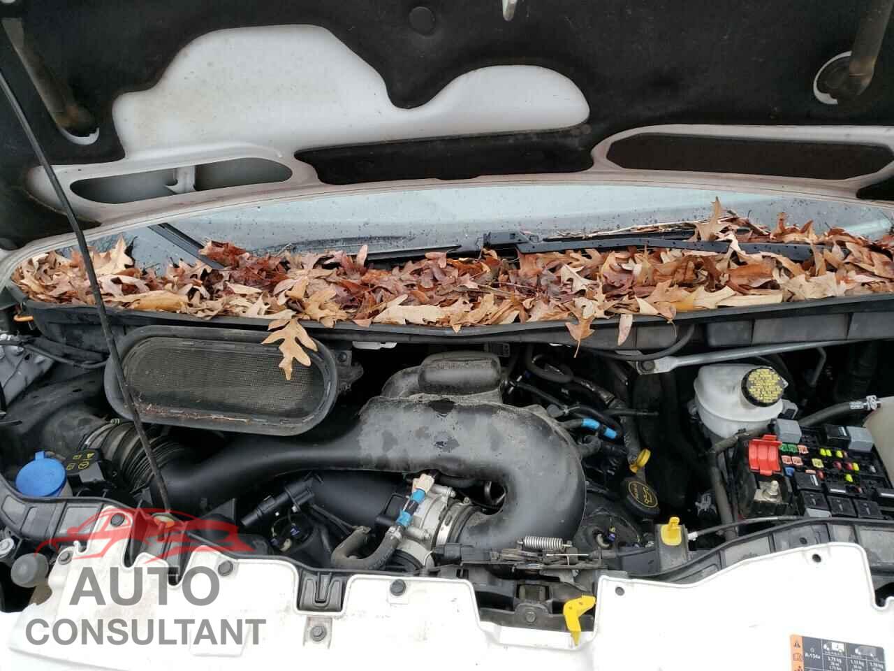 FORD TRANSIT CO 2017 - 1FTYR2CM8HKA32195
