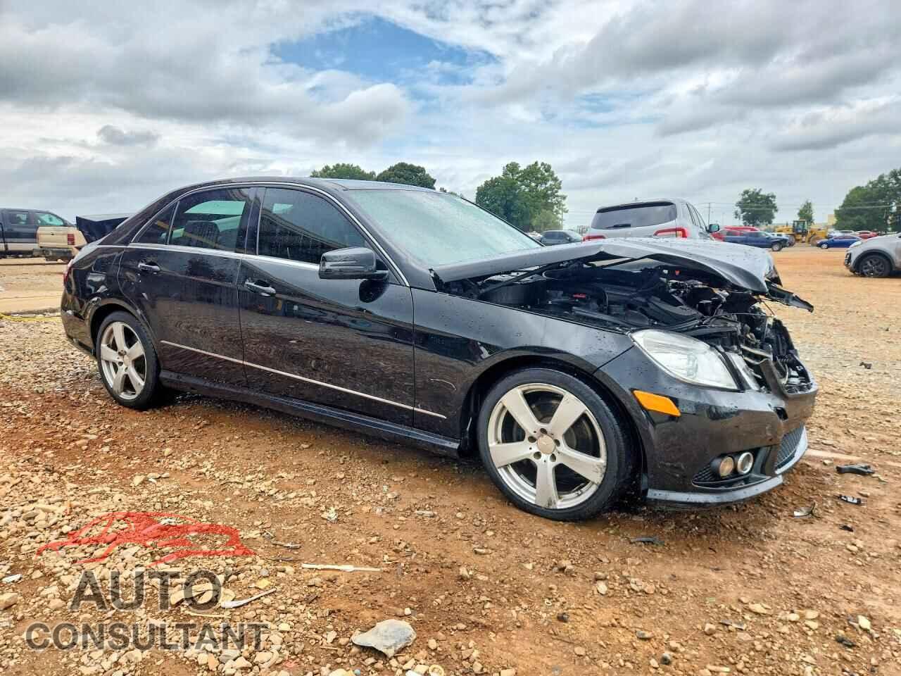 MERCEDES-BENZ E-CLASS 2010 - WDDHF8HB7AA256675