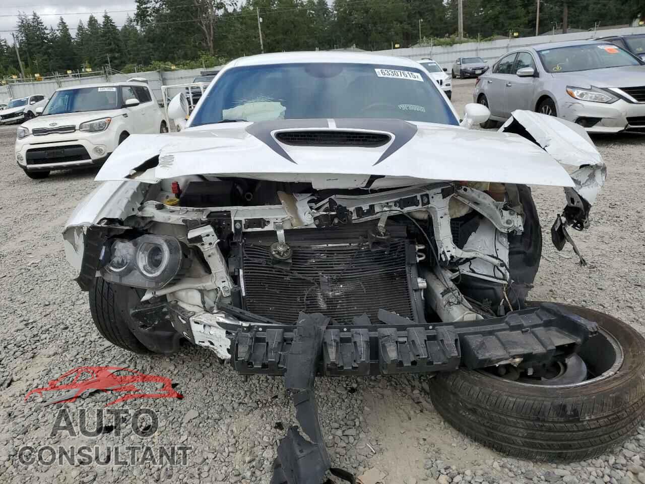 DODGE CHALLENGER 2019 - 2C3CDZBT3KH556965