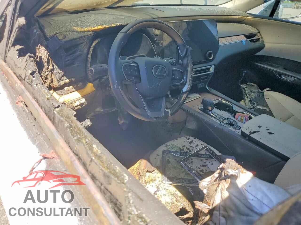 LEXUS UNKNOWN 2025 - 2T2BBMCA4SC074413