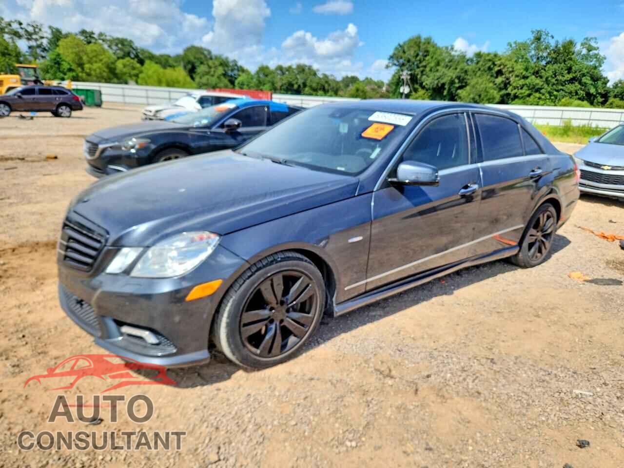 MERCEDES-BENZ E-CLASS 2011 - WDDHF2EB4BA374489