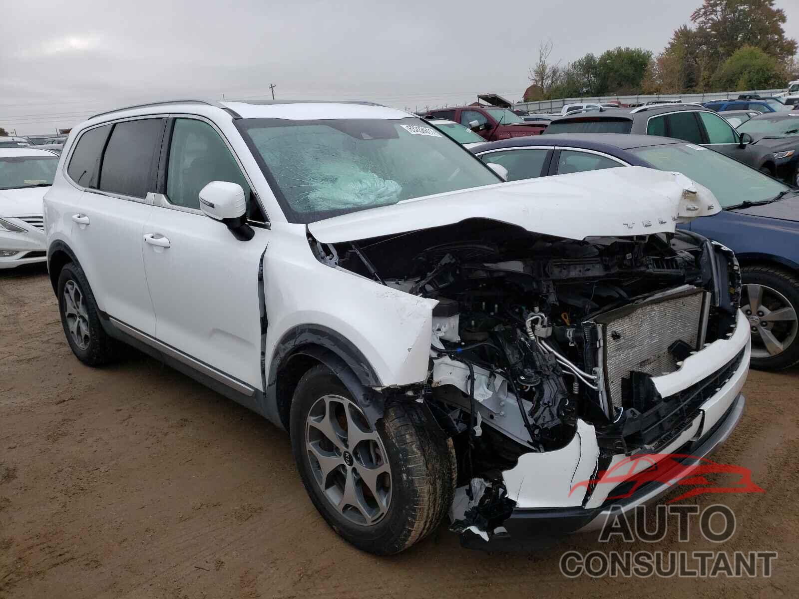 KIA TELLURIDE 2020 - 5XYP3DHC1LG031204