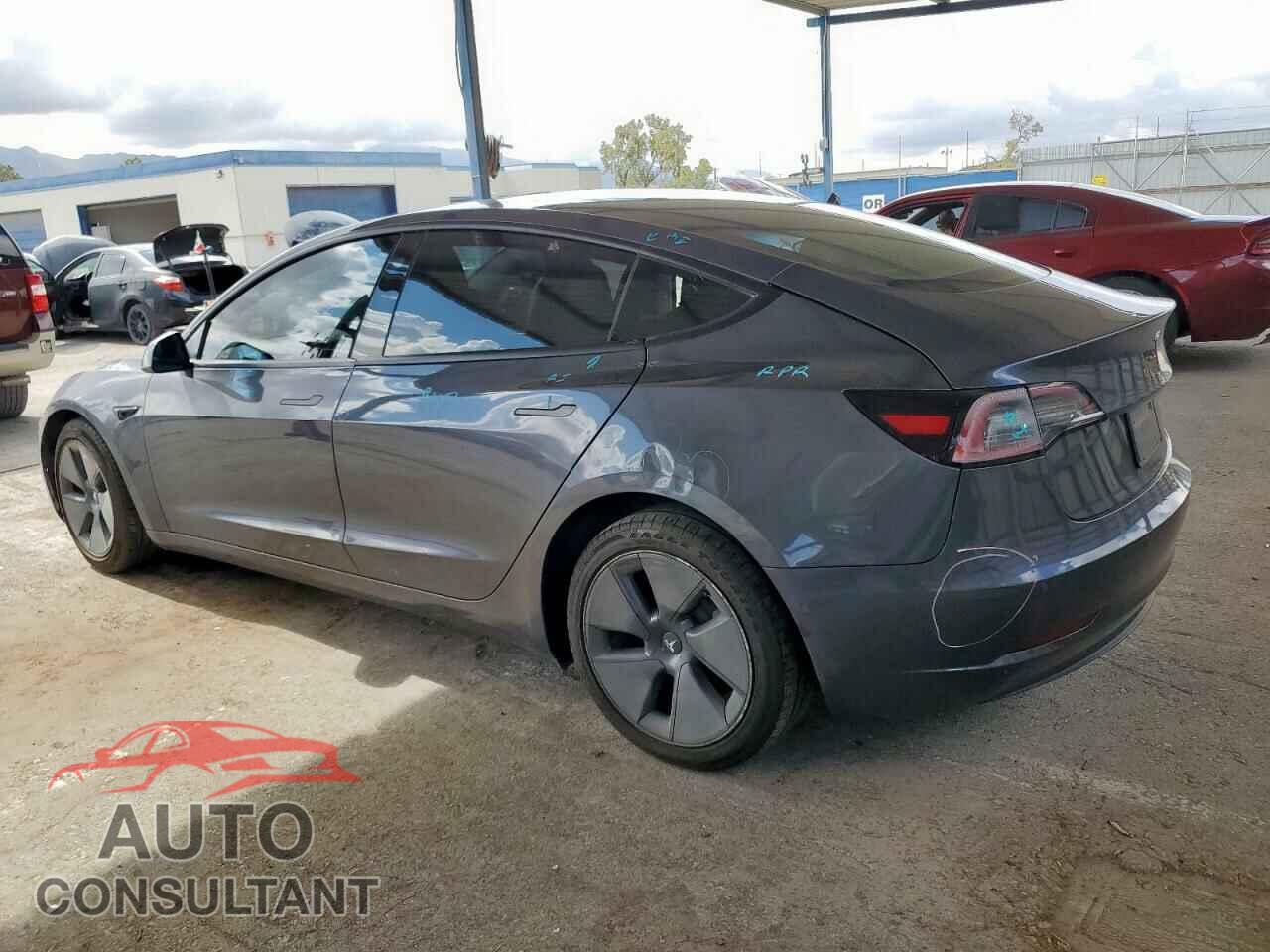 TESLA MODEL 3 2021 - 5YJ3E1EA1MF981842