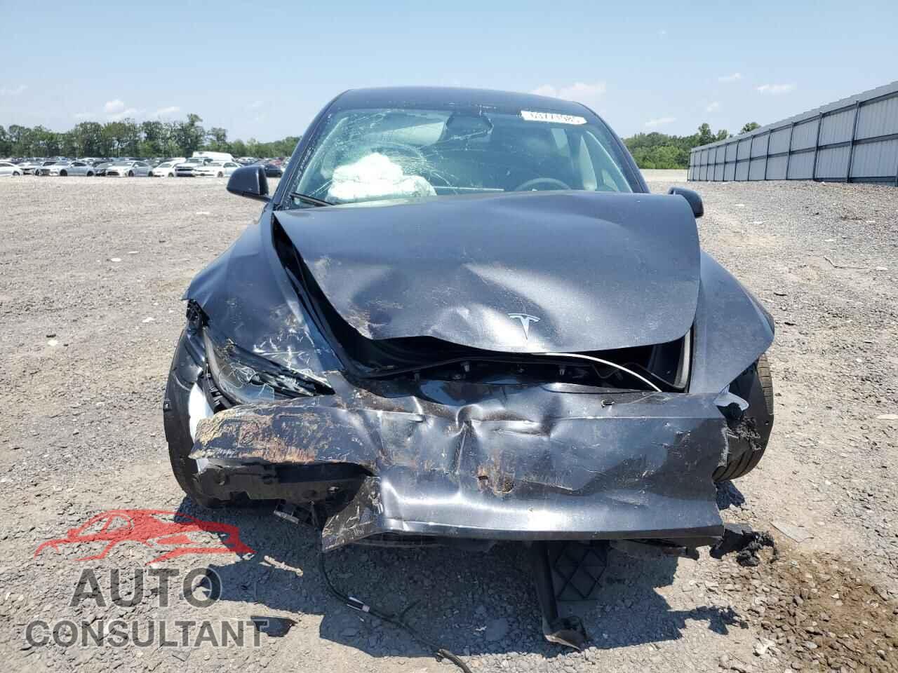 TESLA MODEL 3 2025 - 5YJ3E1EA2SF030059