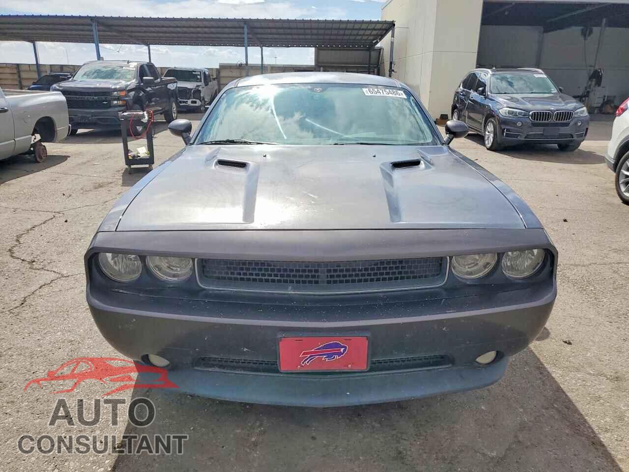 DODGE CHALLENGER 2013 - 2C3CDYAG7DH582437