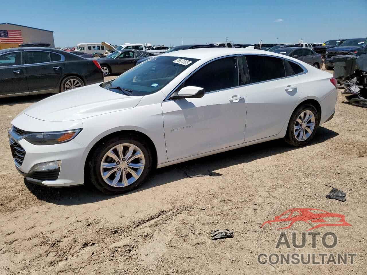 CHEVROLET MALIBU 2019 - 1G1ZD5ST8KF163939