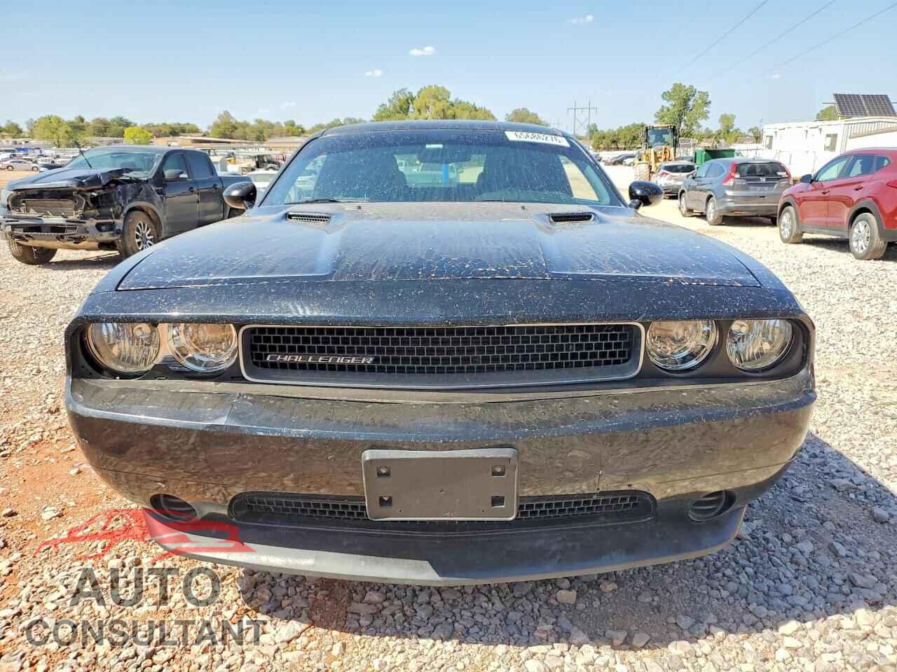 DODGE CHALLENGER 2013 - 2C3CDYAG6DH685753