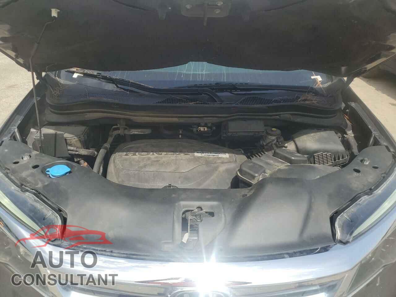 HONDA PILOT 2019 - 5FNYF6H50KB057405
