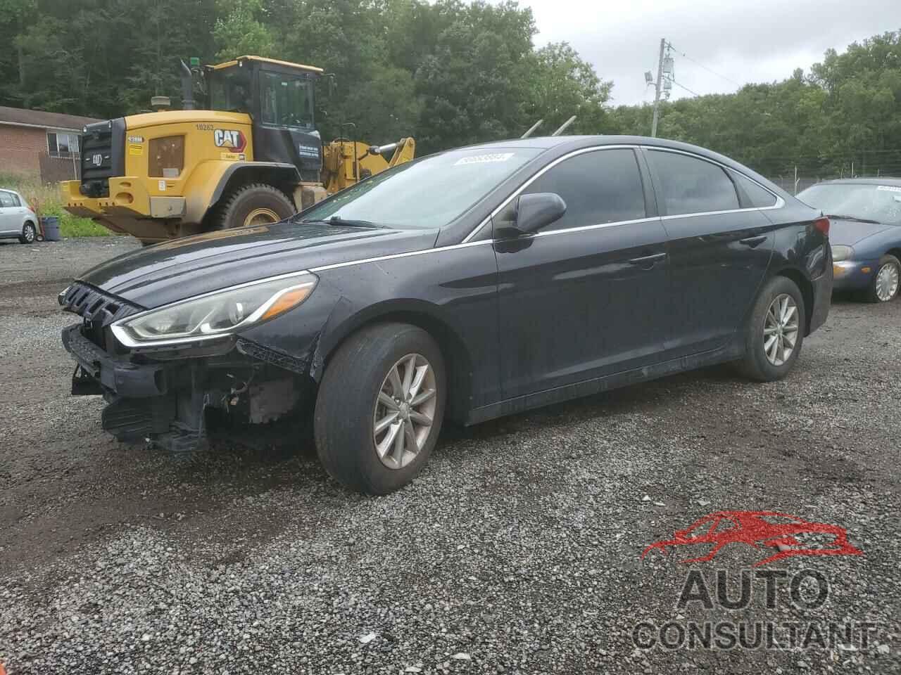 HYUNDAI SONATA 2019 - 5NPE24AF4KH791875