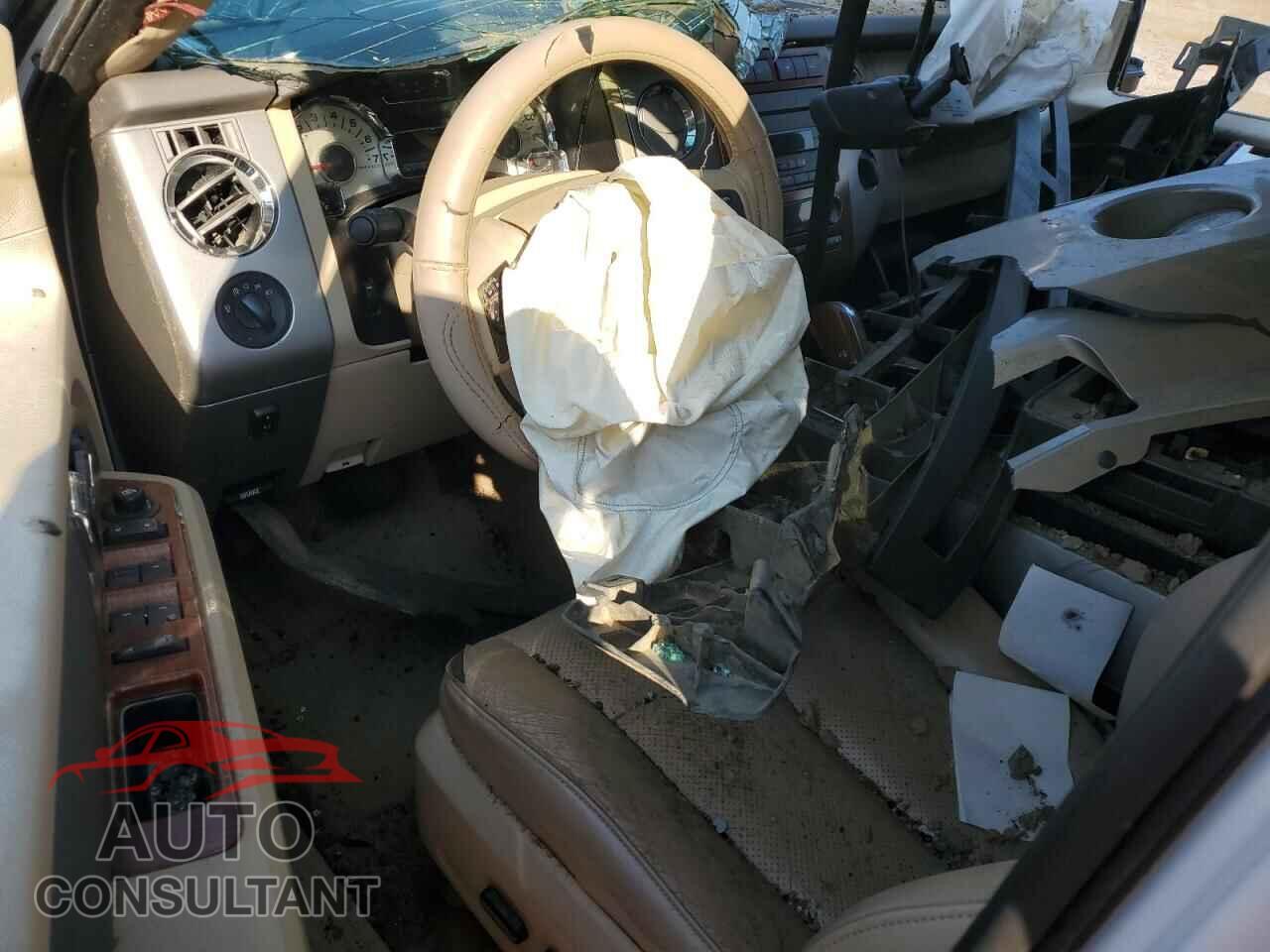 FORD EXPEDITION 2010 - 1FMJU1H53AEB68116