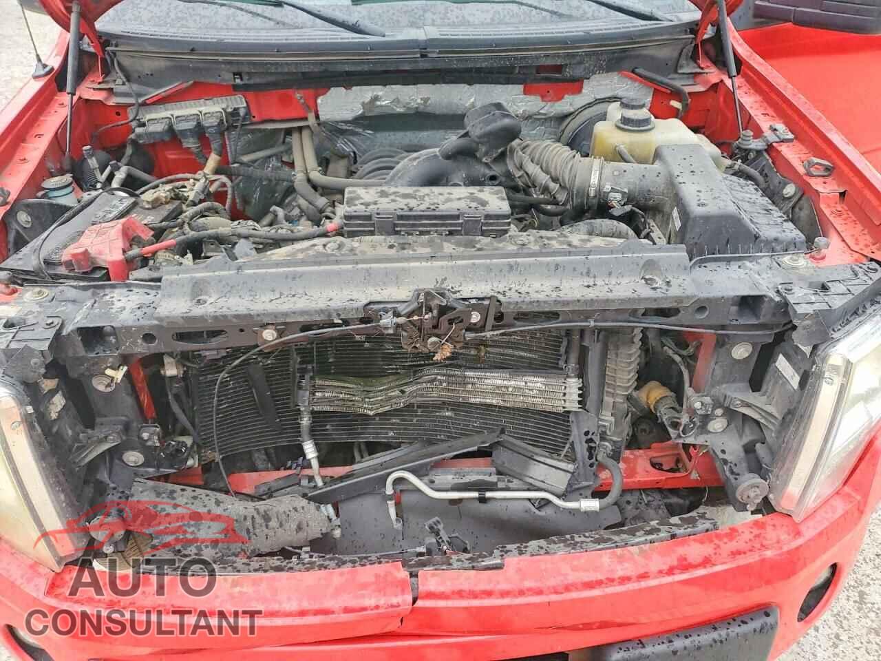 FORD F150 2013 - 1FTFX1CF5DFD31025