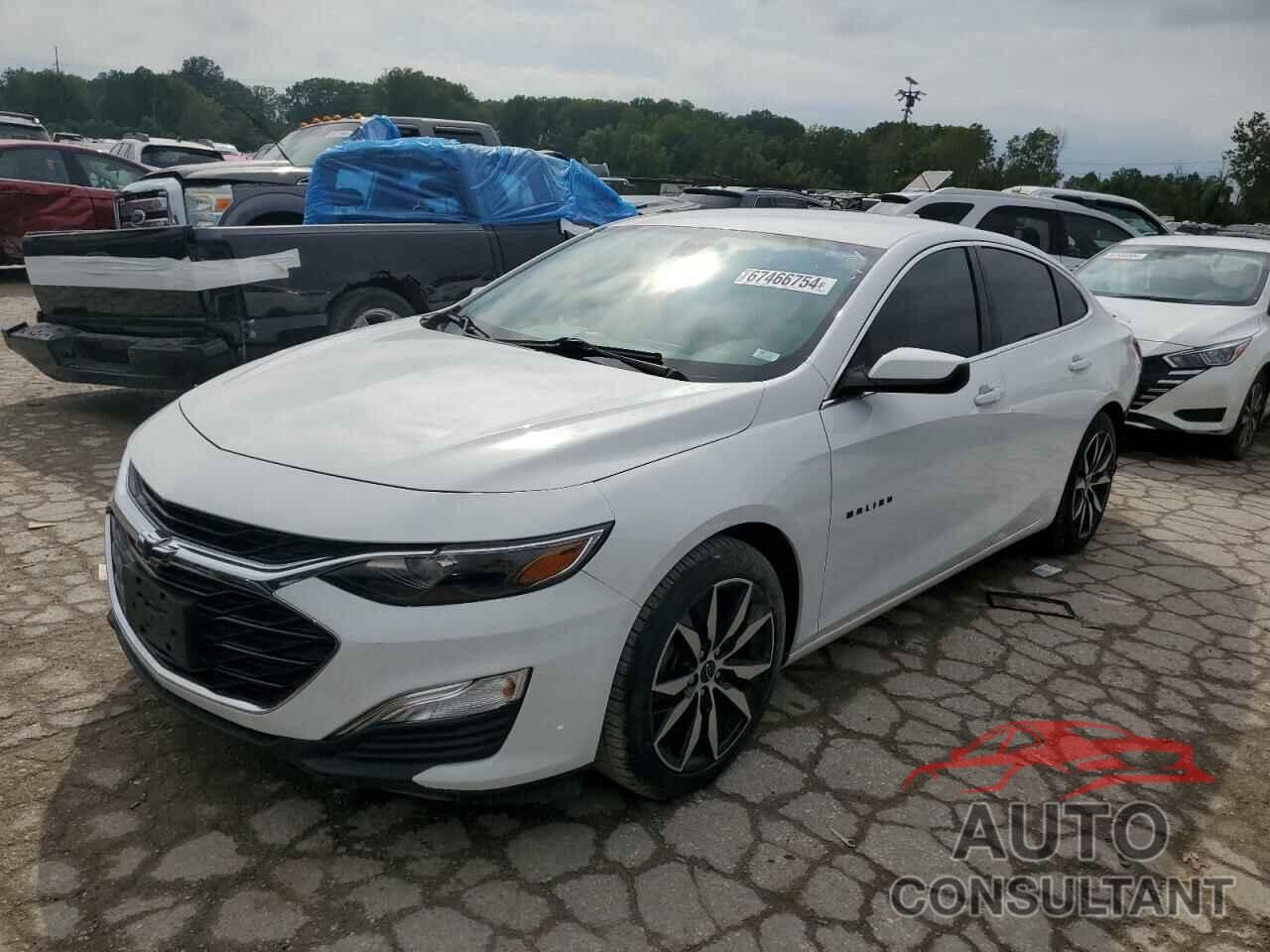 CHEVROLET MALIBU 2020 - 1G1ZG5ST3LF050277