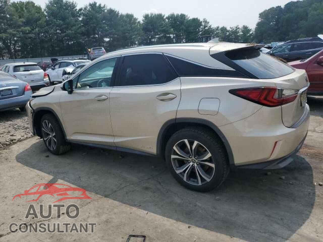 LEXUS RX450 2019 - 2T2BGMCA2KC041105