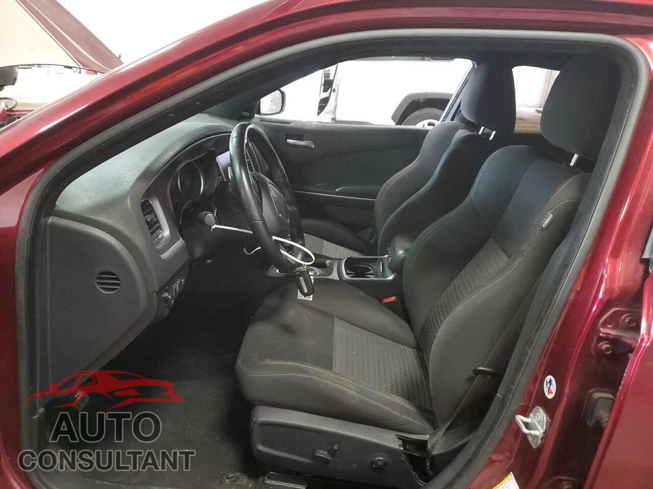 DODGE CHARGER 2019 - 2C3CDXCTXKH738245