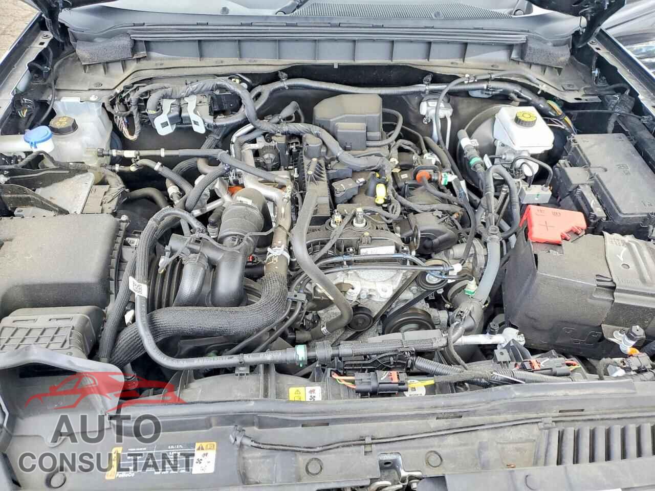 FORD BRONCO 2021 - 1FMEE5BH5MLB03289
