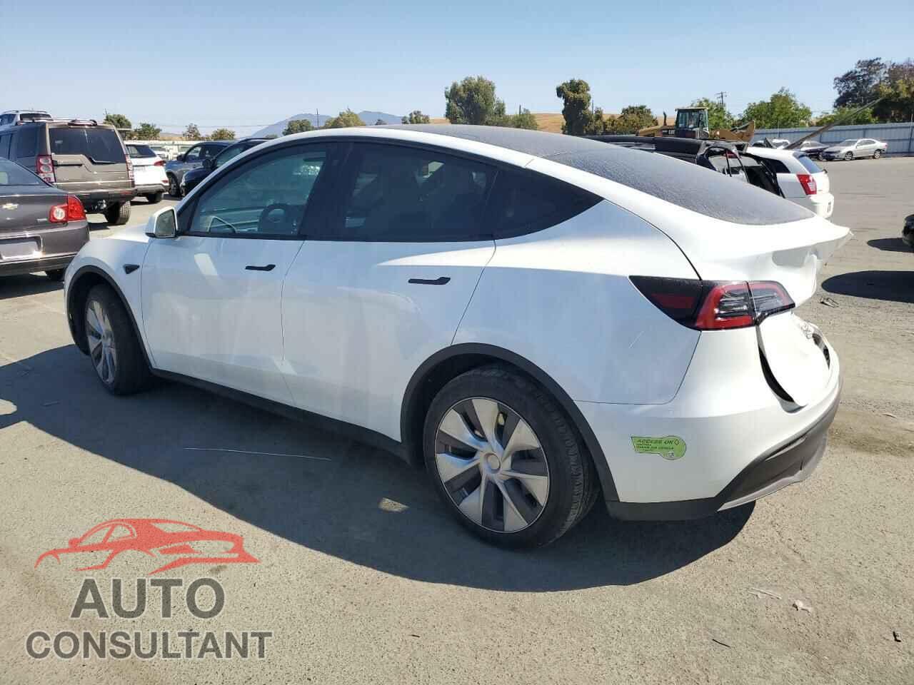 TESLA MODEL Y 2023 - 7SAYGDEE0PF744433