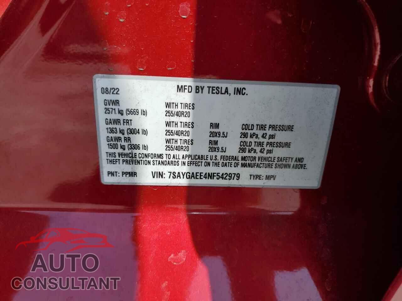TESLA MODEL Y 2022 - 7SAYGAEE4NF542979