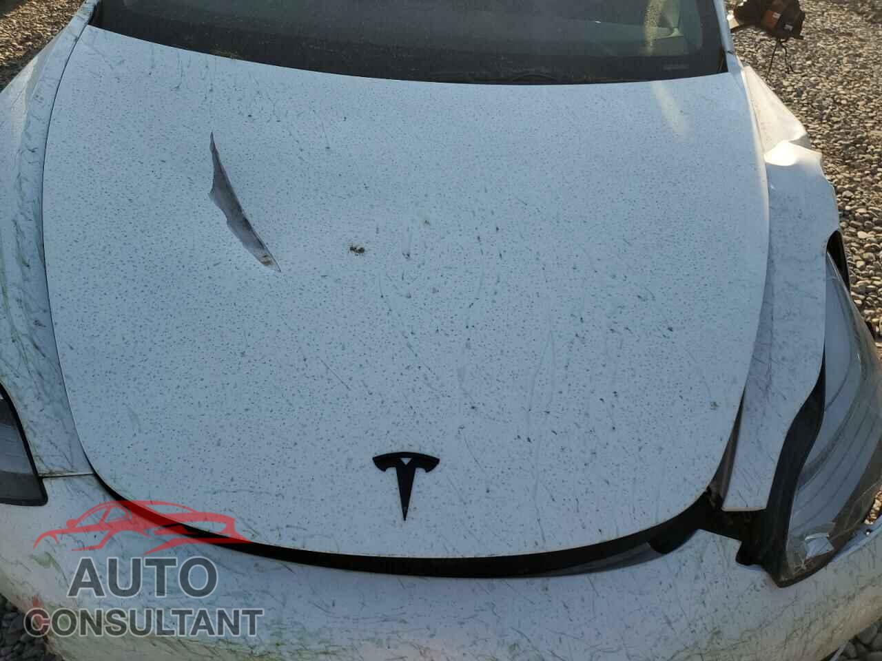 TESLA MODEL 3 2019 - 5YJ3E1EB4KF487156