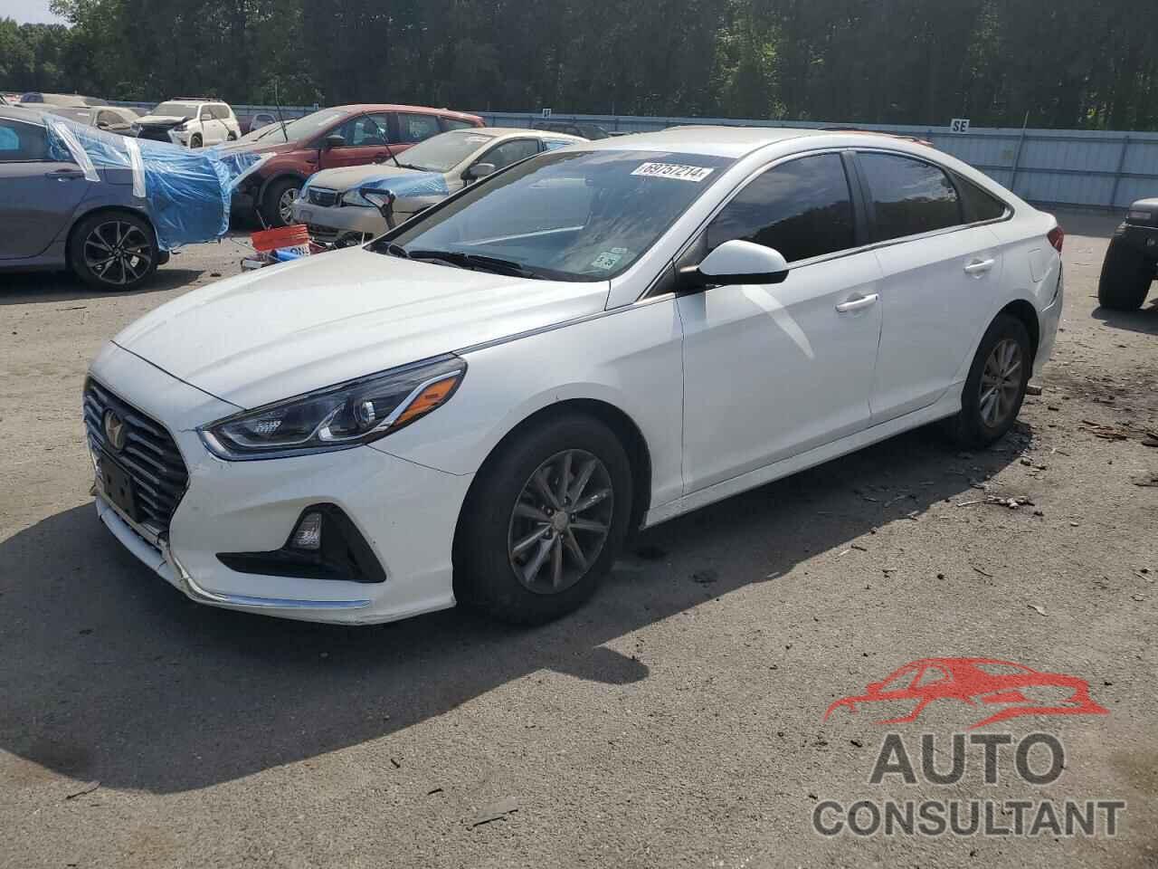 HYUNDAI SONATA 2019 - 5NPE24AF6KH819451