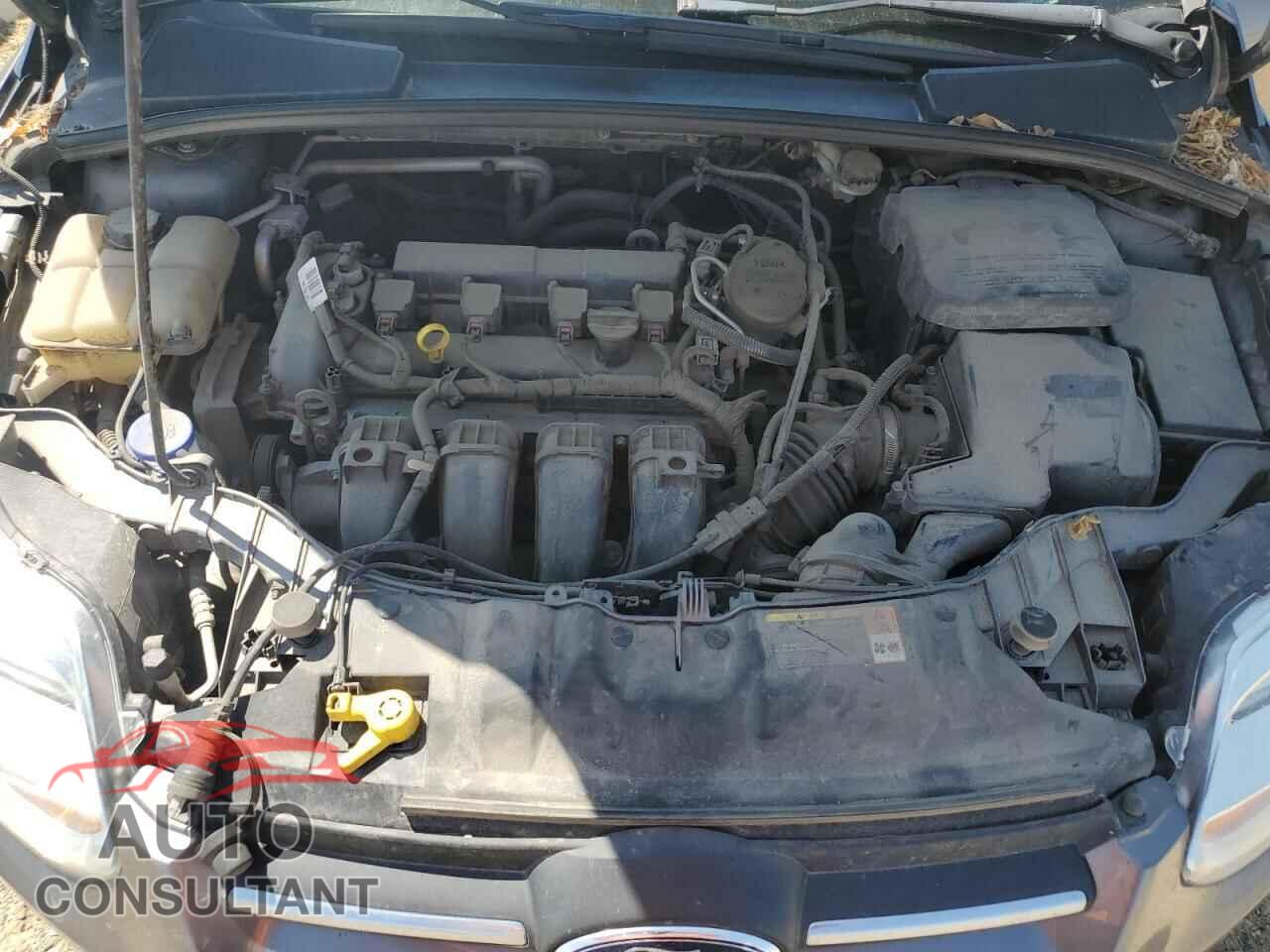 FORD FOCUS 2013 - 1FADP3F28DL273852