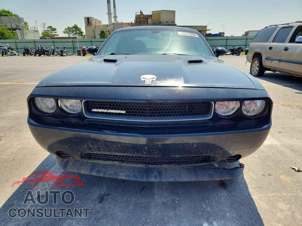 DODGE CHALLENGER 2014 - 2C3CDYAG3EH313191