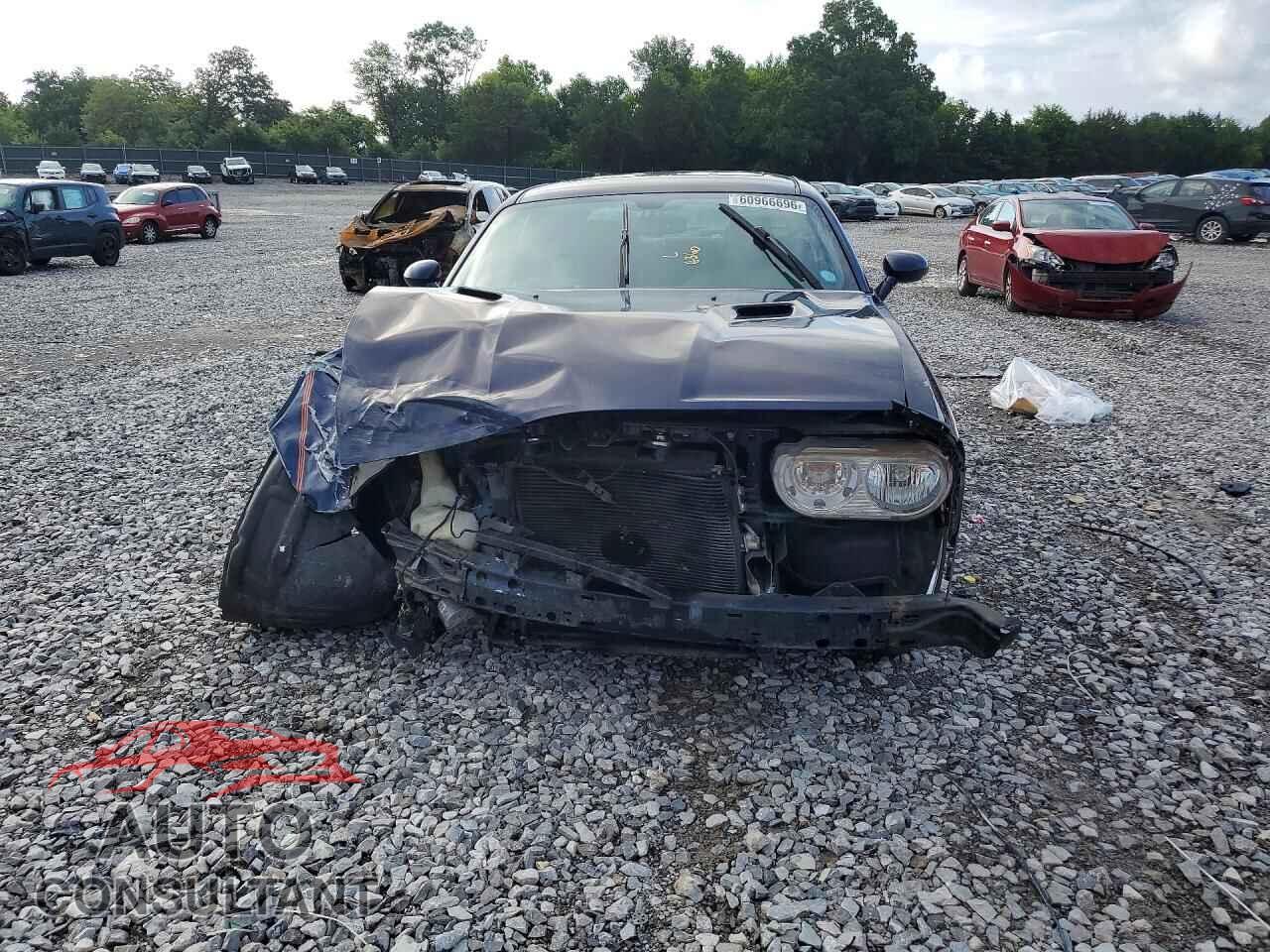 DODGE CHALLENGER 2013 - 2C3CDYAG4DH603986
