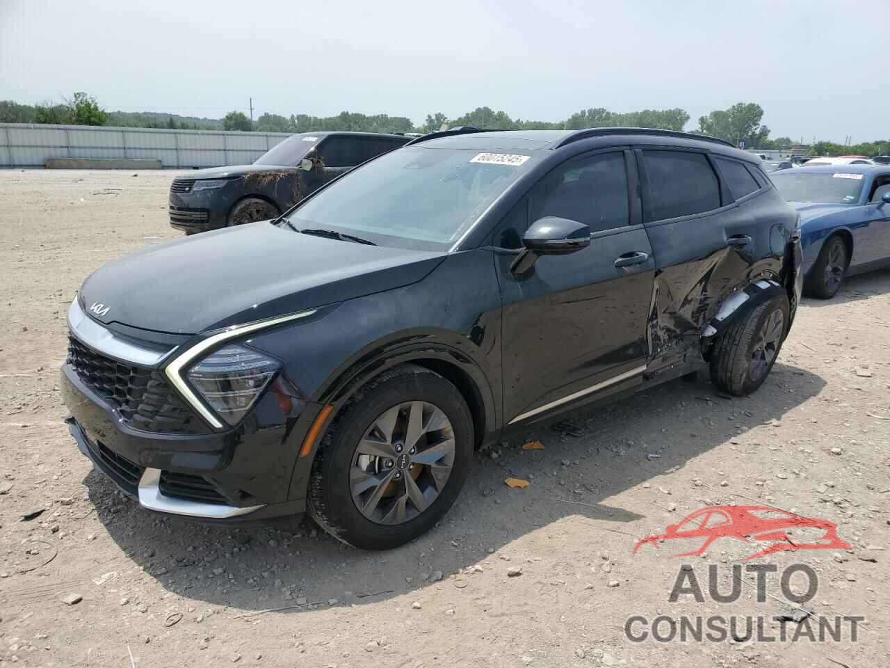 KIA SPORTAGE 2024 - 5XYK43DFXRG194489