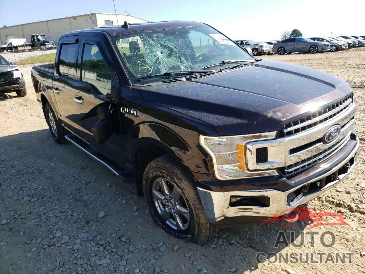 FORD F-150 2019 - 1FTEW1EP4KFC36277