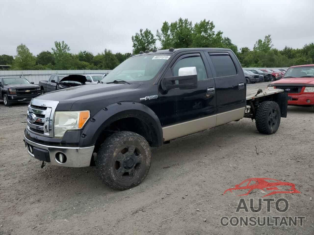 FORD F-150 2009 - 1FTPW14V79FB03645