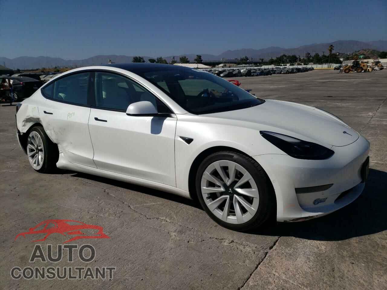 TESLA MODEL S 2021 - 5YJ3E1EA1MF019301