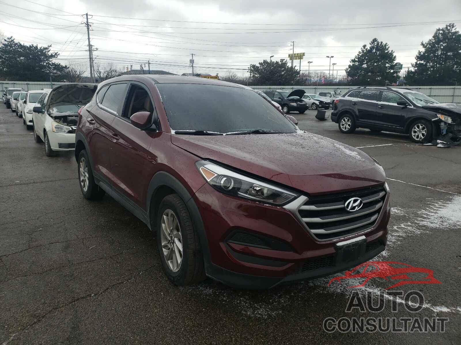 HYUNDAI TUCSON 2017 - KM8J23A44HU576479