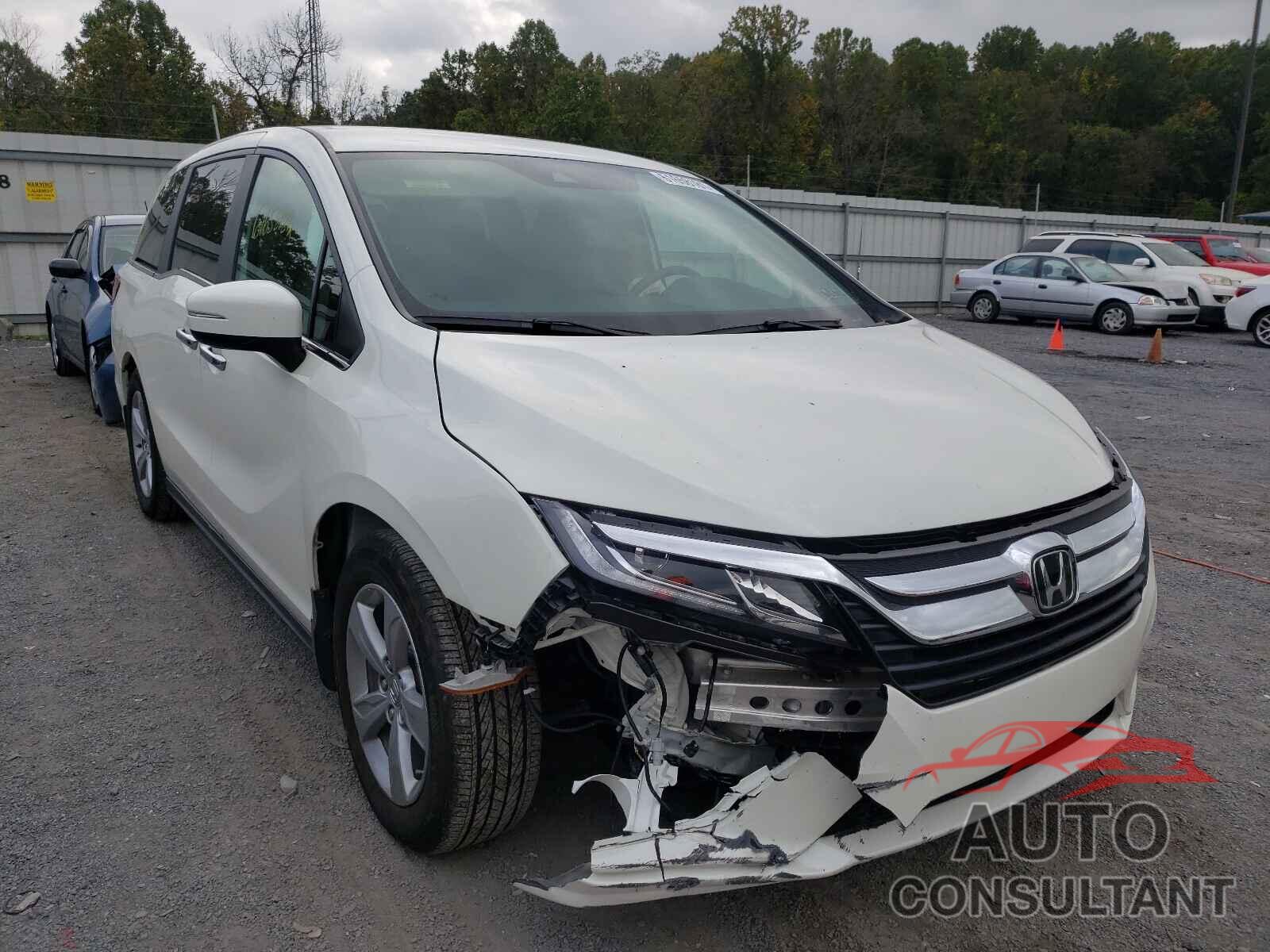 HONDA ODYSSEY 2019 - 5FNRL6H55KB025580