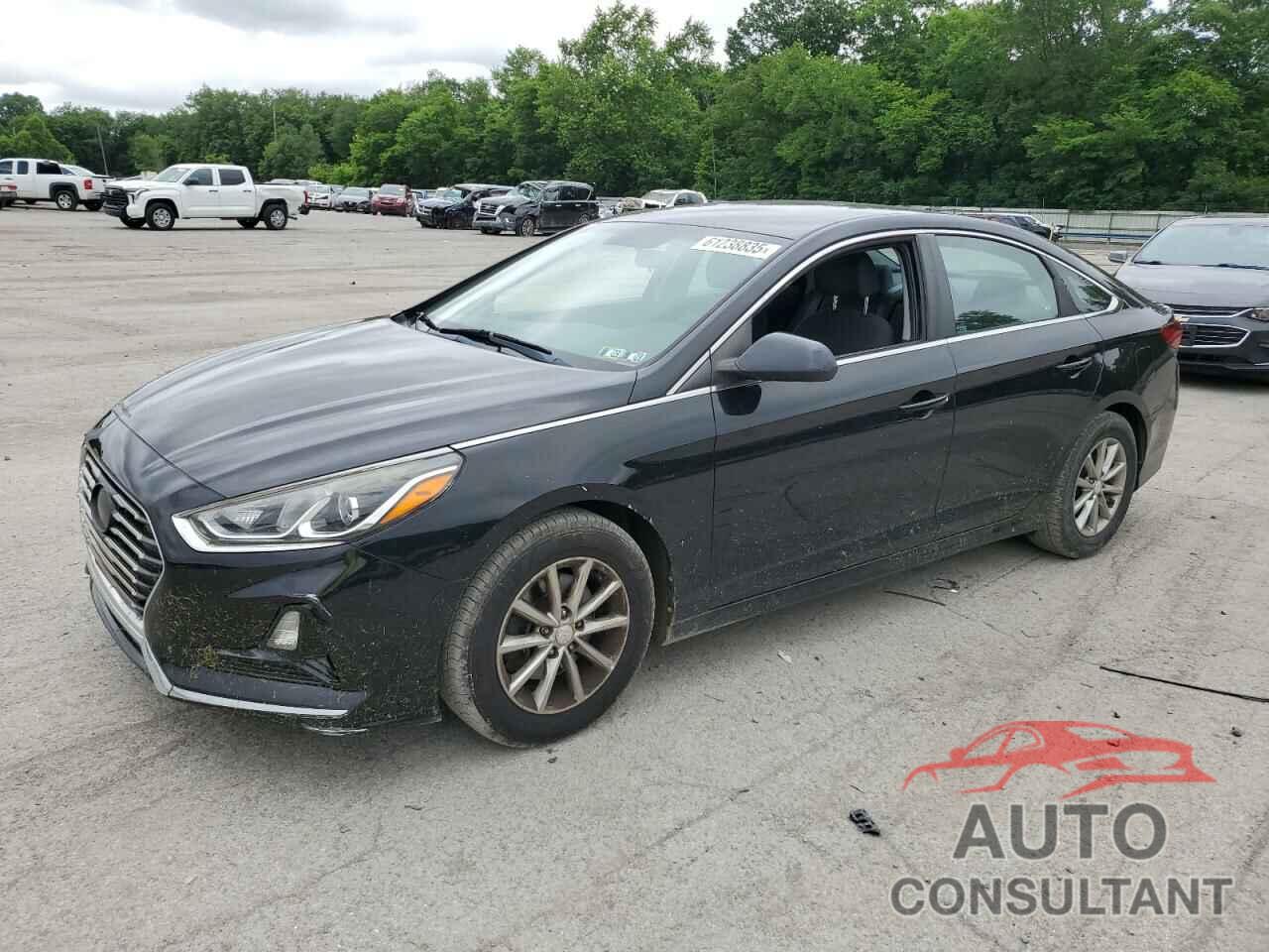 HYUNDAI SONATA 2018 - 5NPE24AFXJH670489