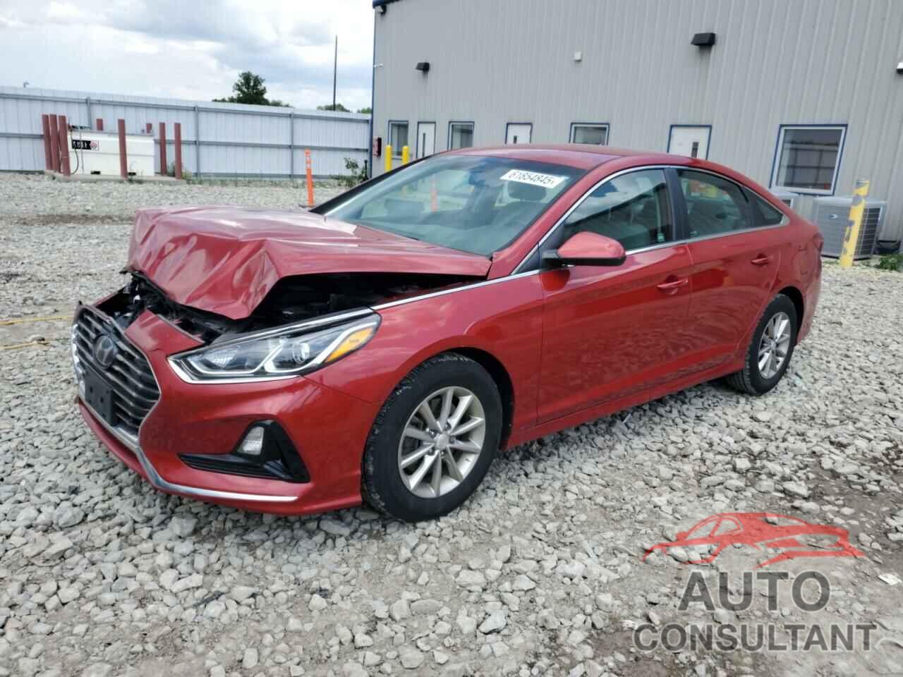 HYUNDAI SONATA 2019 - 5NPE24AF3KH764392