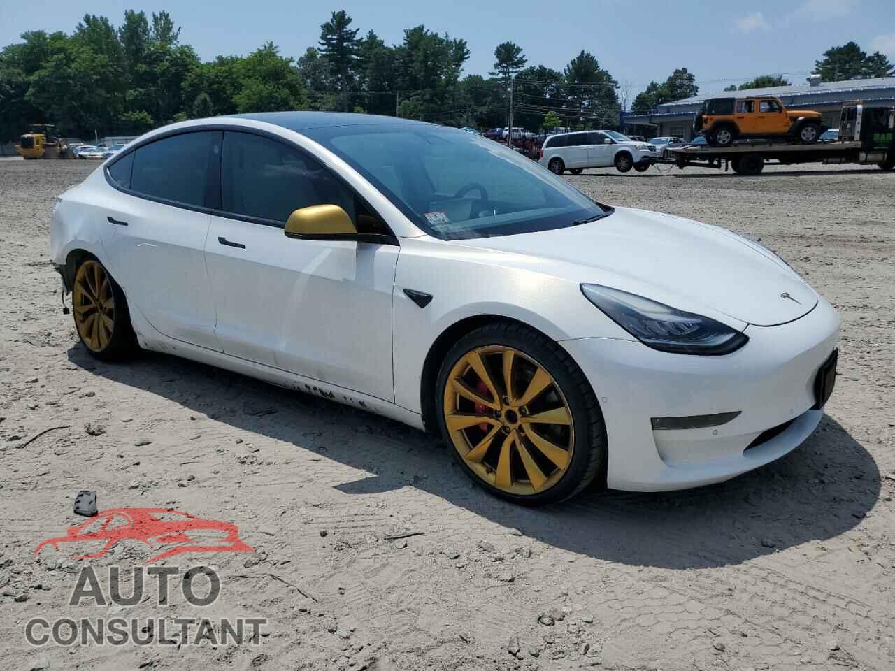 TESLA MODEL 3 2019 - 5YJ3E1EB0KF487588