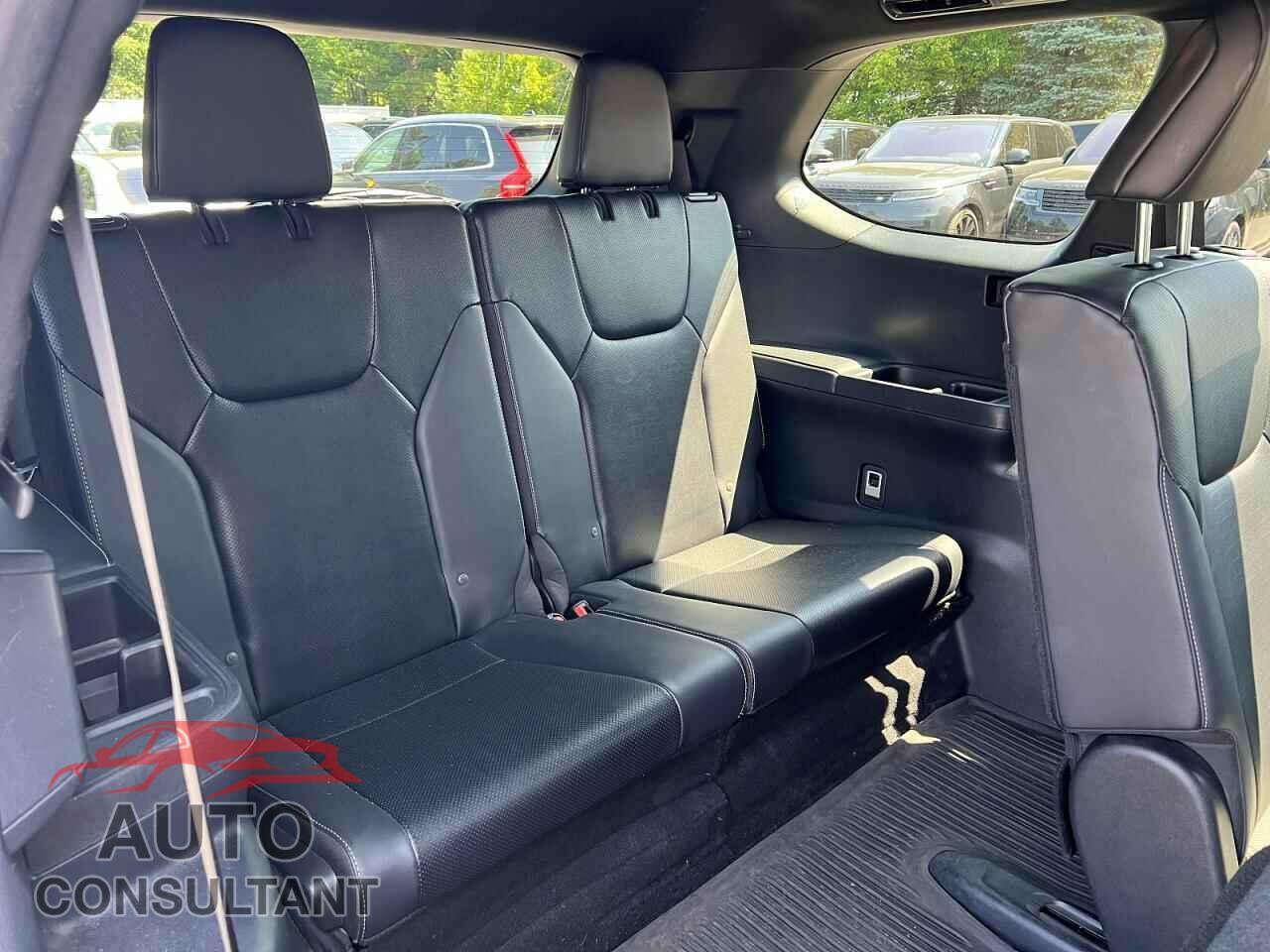 LEXUS UNKNOWN 2024 - 5TDAAAB68RS013582