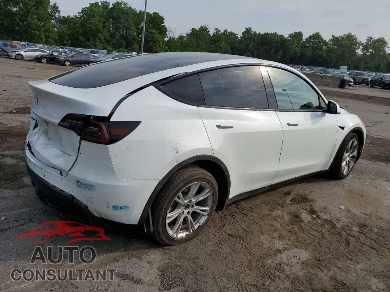 TESLA MODEL Y 2021 - 5YJYGDEEXMF269382
