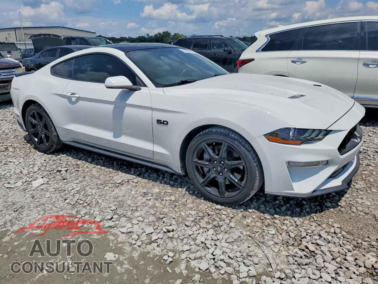 FORD MUSTANG 2019 - 1FA6P8CF5K5124152