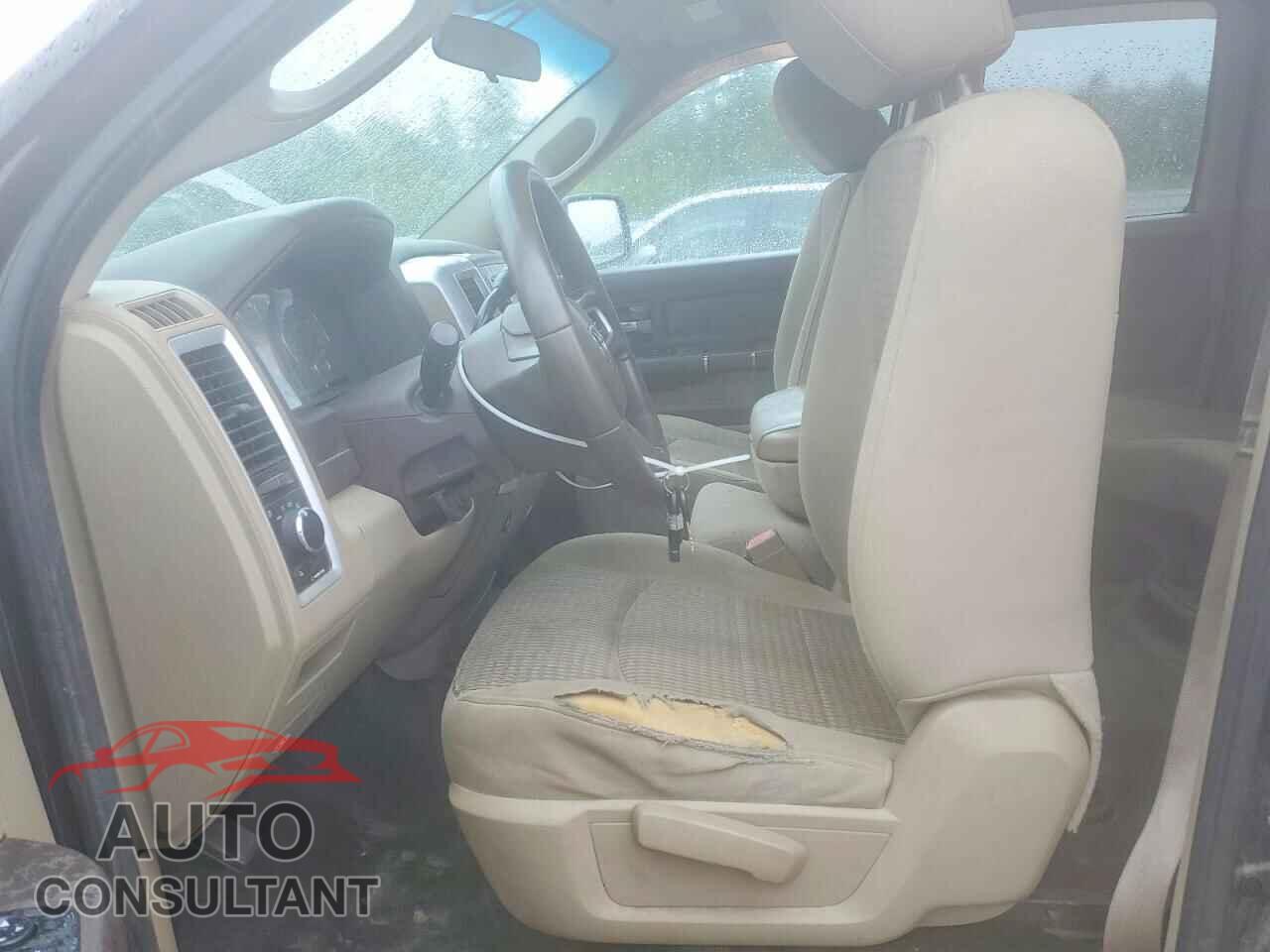 DODGE RAM 1500 2010 - 1D7RB1GT3AS214550