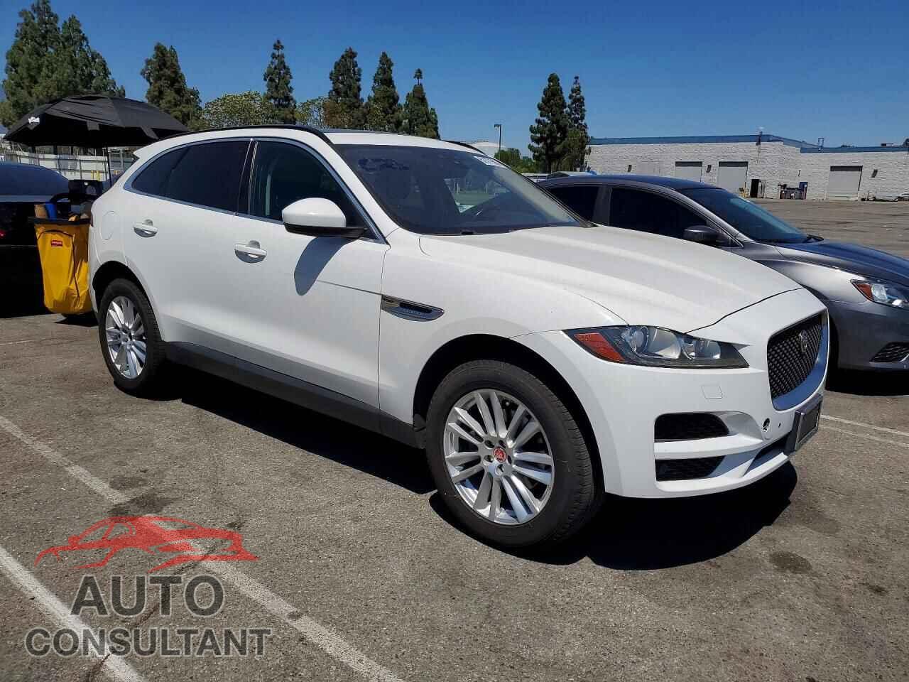JAGUAR F-PACE 2019 - SADCK2FX0KA398741