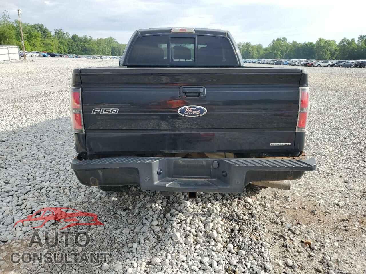 FORD F-150 2011 - 1FTFX1EF6BFC11440