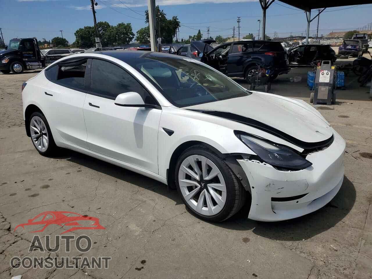 TESLA MODEL 3 2021 - 5YJ3E1EA7MF067823