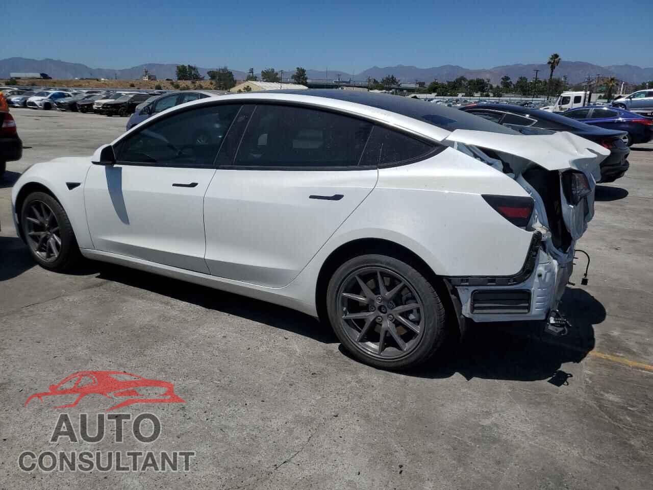 TESLA MODEL 3 2022 - 5YJ3E1EB5NF265052
