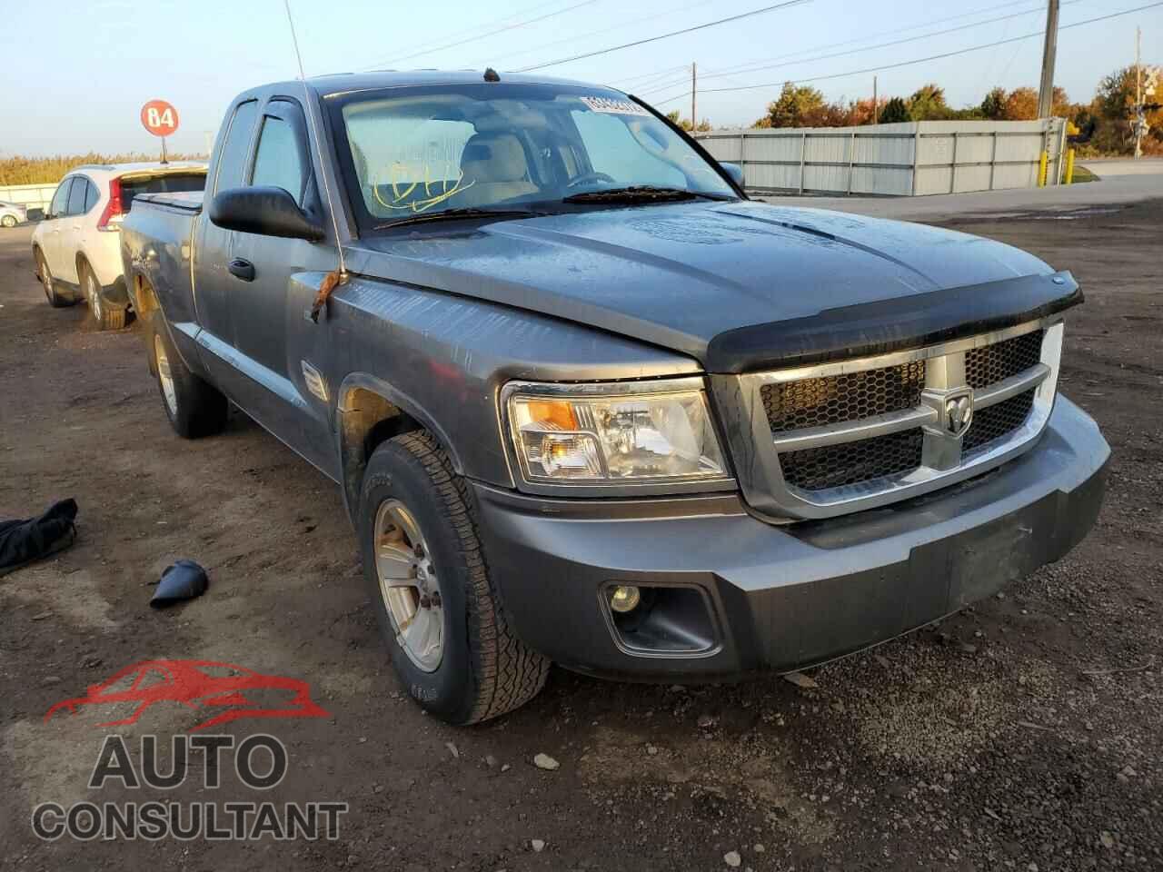DODGE DAKOTA 2011 - 1D7RE2BK2BS537808