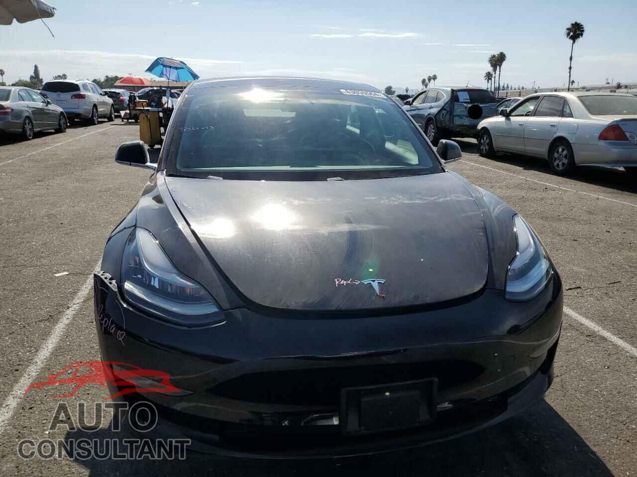 TESLA MODEL 3 2019 - 5YJ3E1EA2KF310712