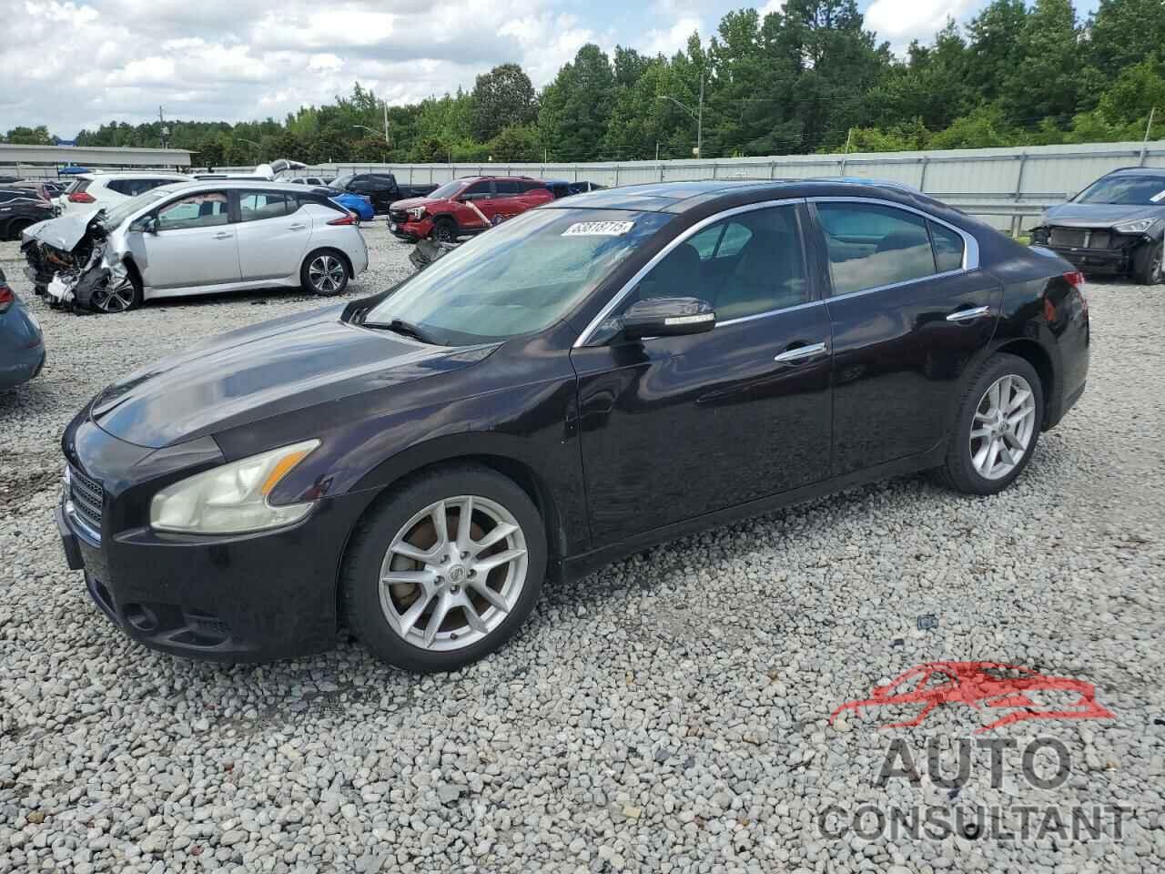 NISSAN MAXIMA 2010 - 1N4AA5AP7AC811455