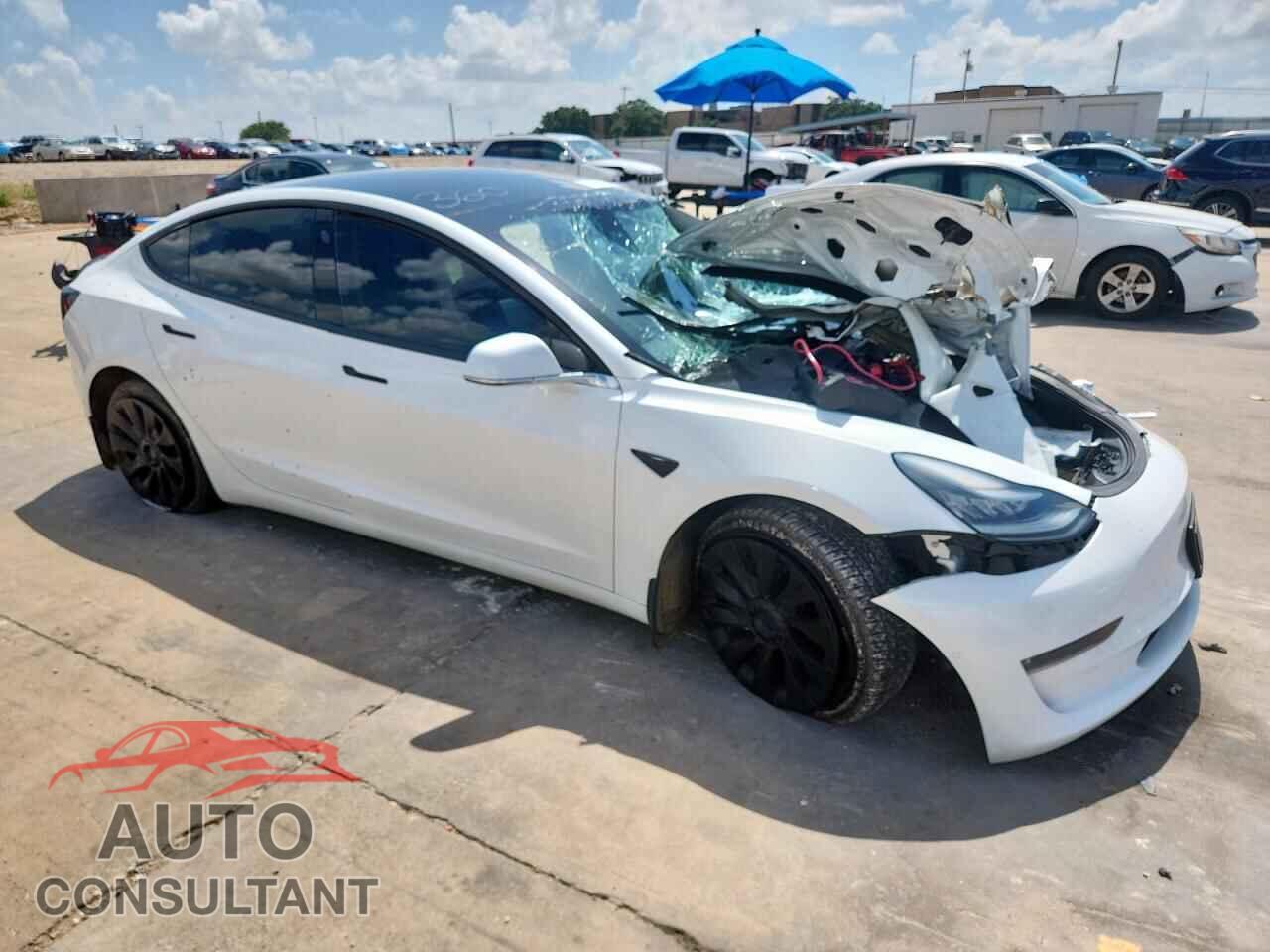 TESLA MODEL 3 2019 - 5YJ3E1EB2KF408339