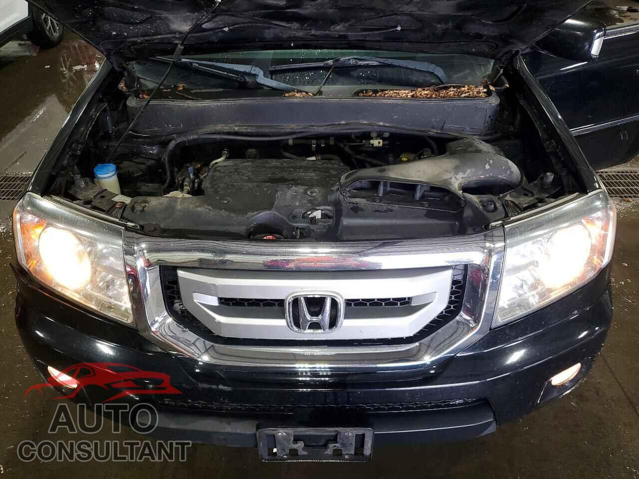 HONDA PILOT 2011 - 5FNYF4H98BB080910
