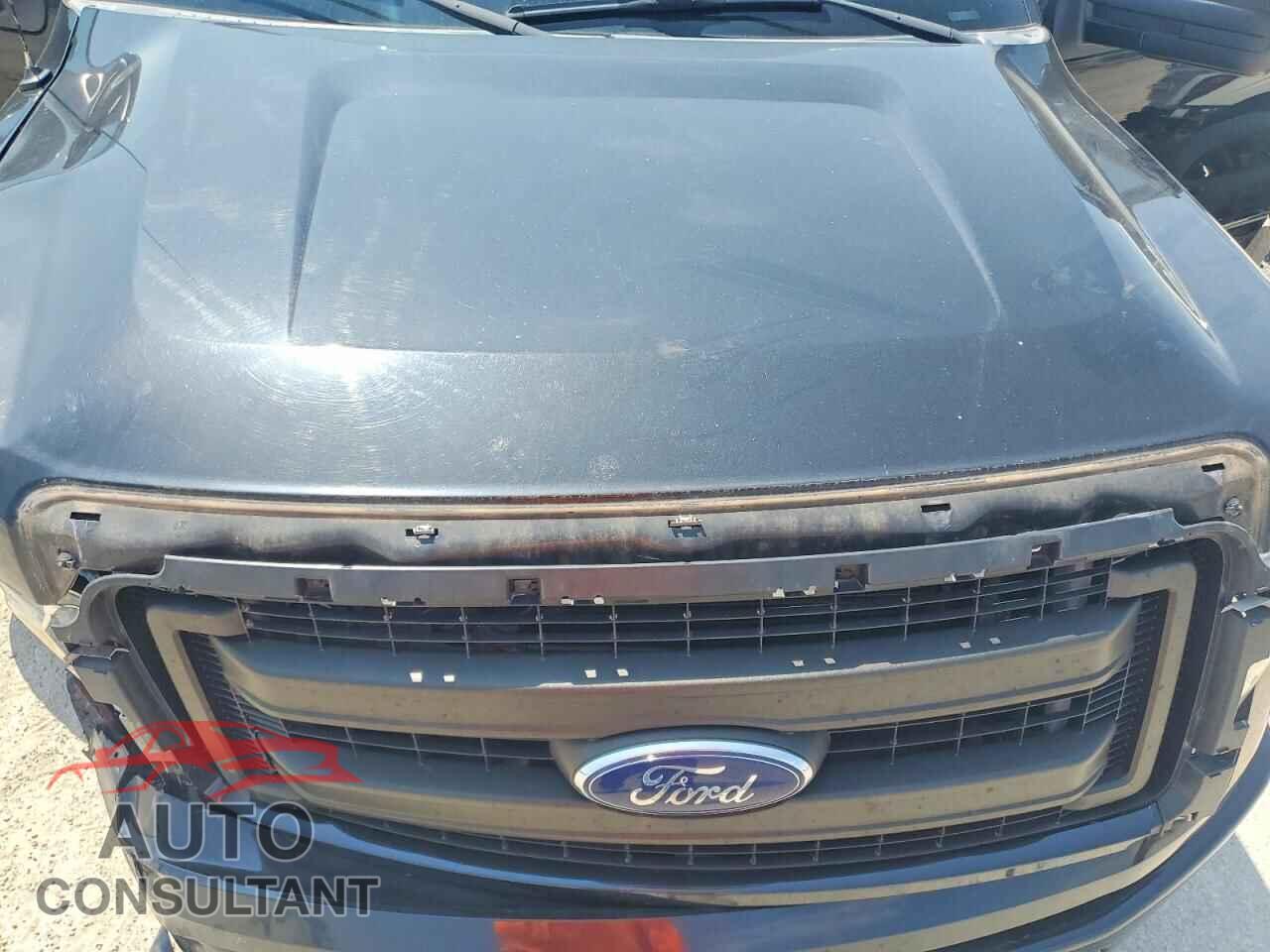 FORD F150 2013 - 1FTEX1EM3DKG49420