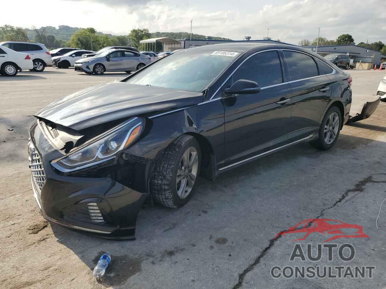 HYUNDAI SONATA 2019 - 5NPE34AF2KH773095